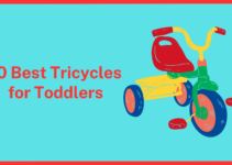 10 Best Tricycles for Toddlers